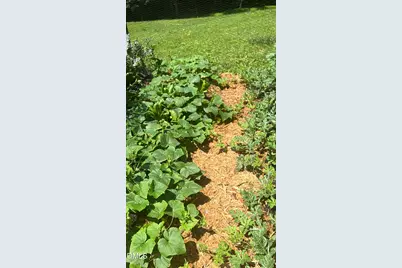 4316 Erwin Road, Durham, NC 27705 - Photo 81