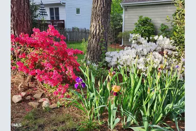 501 Samara Street, Apex, NC 27502 - Photo 59