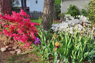 501 Samara St, Apex, NC 27502 - Photo 53