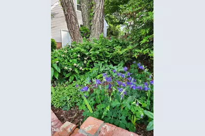 501 Samara Street, Apex, NC 27502 - Photo 69