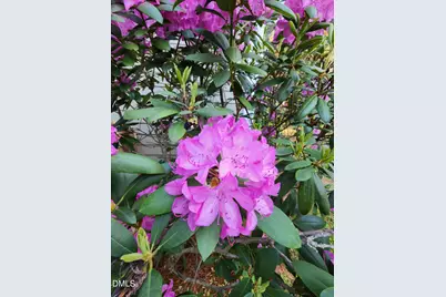 501 Samara Street, Apex, NC 27502 - Photo 73