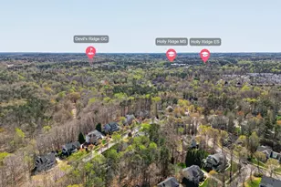 120 Holly Glade Cir, Holly Springs, NC 27540 - Photo 35