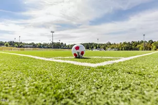 120 Holly Glade Cir, Holly Springs, NC 27540 - Photo 47