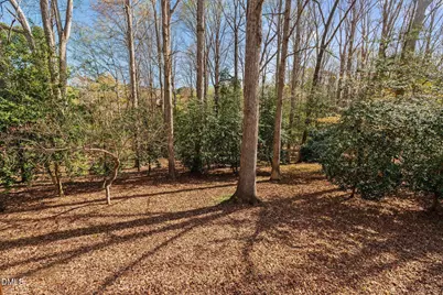 10100 Grafton Road, Raleigh, NC 27615 - Photo 65