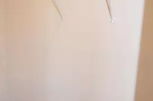 1126 Finch Ct, Apex, NC 27502 - Photo 23