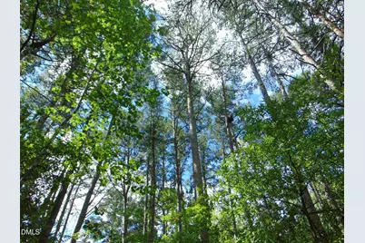 Lot 2 Caviness Jordan Road, Cedar Grove, NC 27231 - Photo 11