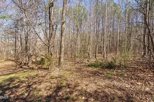 180 Normandy Rd, Louisburg, NC 27549 - Photo 63
