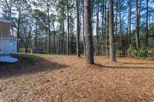 194 Furney Pearce Rd, Zebulon, NC 27597 - Photo 29