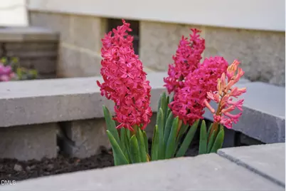 4 Rockwood Circle, Durham, NC 27707 - Photo 5