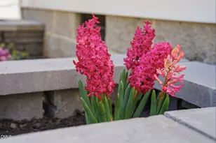 4 Rockwood Cir, Durham, NC 27707 - Photo 5