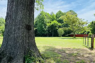 4045 Joe Hamme Rd, Oxford, NC 27565 - Photo 29