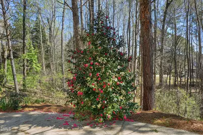 120 Kelsey Court, Clayton, NC 27520 - Photo 35