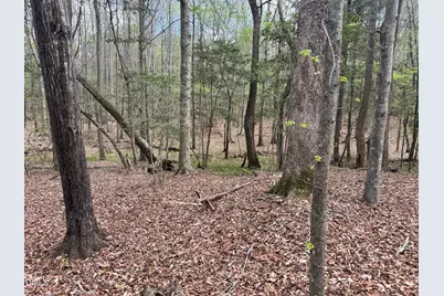0 Westerman Place, Smithfield, NC 27577 - Photo 11