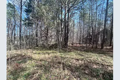 0 Pleasant Hill Church Road, Siler City, NC 27344 - Photo 1