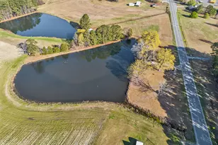 10167 Nc Hwy 50, Angier, NC 27501 - Photo 13