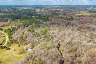 259 Heathers Folly Rd, Watha, NC 28478 - Photo 83