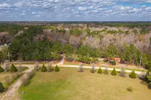 259 Heathers Folly Rd, Watha, NC 28478 - Photo 59