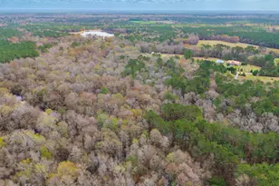 259 Heathers Folly Rd, Watha, NC 28478 - Photo 81