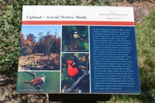 232 Logbridge Rd, Chapel Hill, NC 27516 - Photo 77