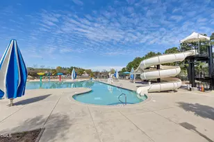 313 New Milford Rd, Cary, NC 27519 - Photo 49