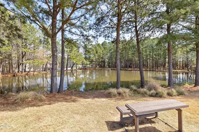 313 New Milford Road, Cary, NC 27519 - Photo 43