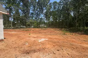 396 Mollie Mdw Dr, Zebulon, NC 27597 - Photo 29