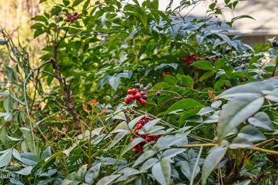 7601 Southwick Court, Wake Forest, NC 27587 - Photo 77