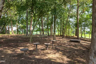 1708 Highpoint Street, Wake Forest, NC 27587 - Photo 51