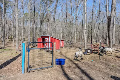 4000 Woodland Park Drive, Hillsborough, NC 27278 - Photo 45