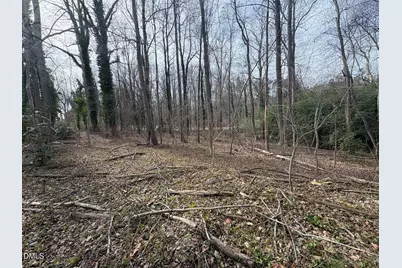 0 Wimbledon Drive, Roxboro, NC 27573 - Photo 3