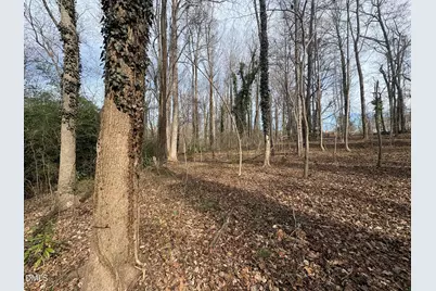 0 Wimbledon Drive, Roxboro, NC 27573 - Photo 7