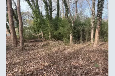 0 Wimbledon Drive, Roxboro, NC 27573 - Photo 5