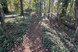 401 Laurel Hill Rd, Chapel Hill, NC 27514 - Photo 31