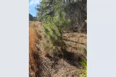 0 Chic Ennis Road, Coats, NC 27521 - Photo 9