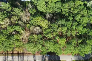 7608 Valview St, Raleigh, NC 27613 - Photo 1