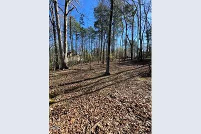 4822 Bay Point Drive, Durham, NC 27713 - Photo 3