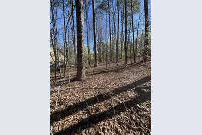 4824 Bay Point Drive, Durham, NC 27713 - Photo 5