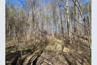 2223 Irvin Street, Oxford, NC 27565 - Photo 15