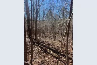 299 Hodges Road, Franklinton, NC 27525 - Photo 3