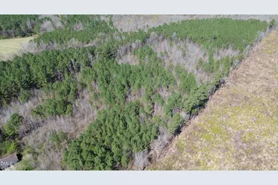 299 Hodges Road, Franklinton, NC 27525 - Photo 9