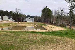 22 Davinci Dr, Zebulon, NC 27597 - Photo 11