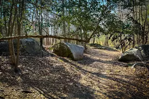 2800 Shepard School Rd, Zebulon, NC 27597 - Photo 39