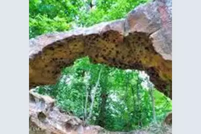 160 Galway Road, Lillington, NC 27546 - Photo 39