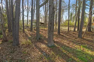 5504 Pear Orchard Cir, Raleigh, NC 27616 - Photo 27