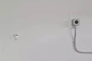 107 Carnie Ct, Cary, NC 27513 - Photo 61