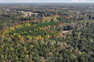 2566 Mays Crossroads Rd, Youngsville, NC 27596 - Photo 9