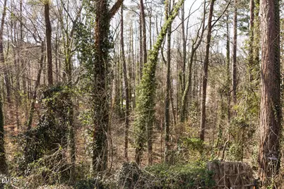 4017 Balsam Drive, Raleigh, NC 27612 - Photo 17