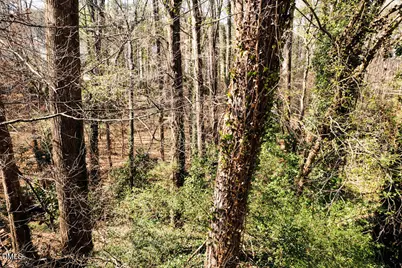 4017 Balsam Drive, Raleigh, NC 27612 - Photo 5