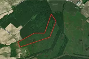 0 E Darden Rd, Faison, NC 28341 - Photo 1