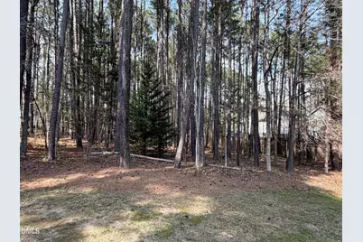 204 Blair Hills Road, Wendell, NC 27591 - Photo 51